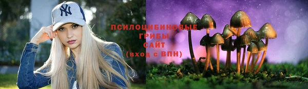 дживик Армянск
