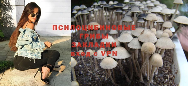 дживик Армянск