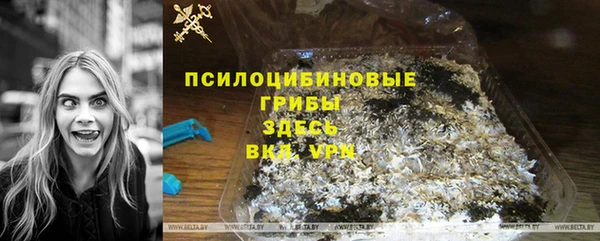 гашик Алзамай