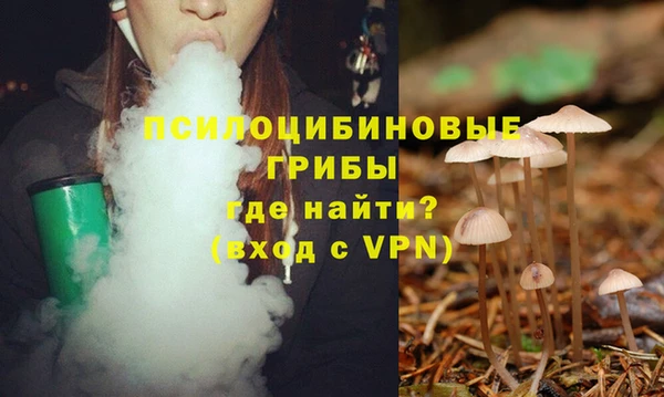 гидропоника Арсеньев